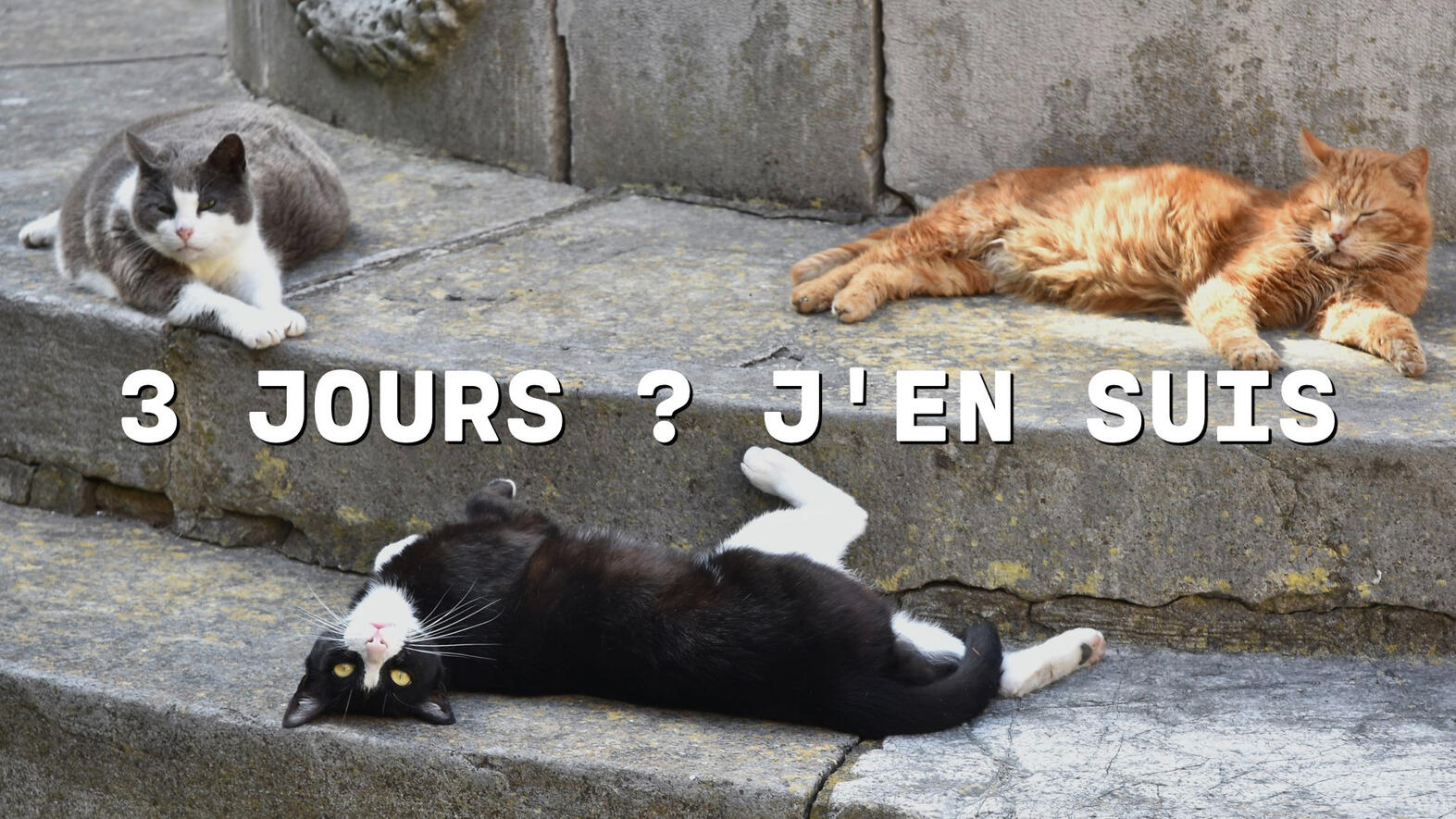 Semaine de 3 jours • 3 jours ? j'en suis