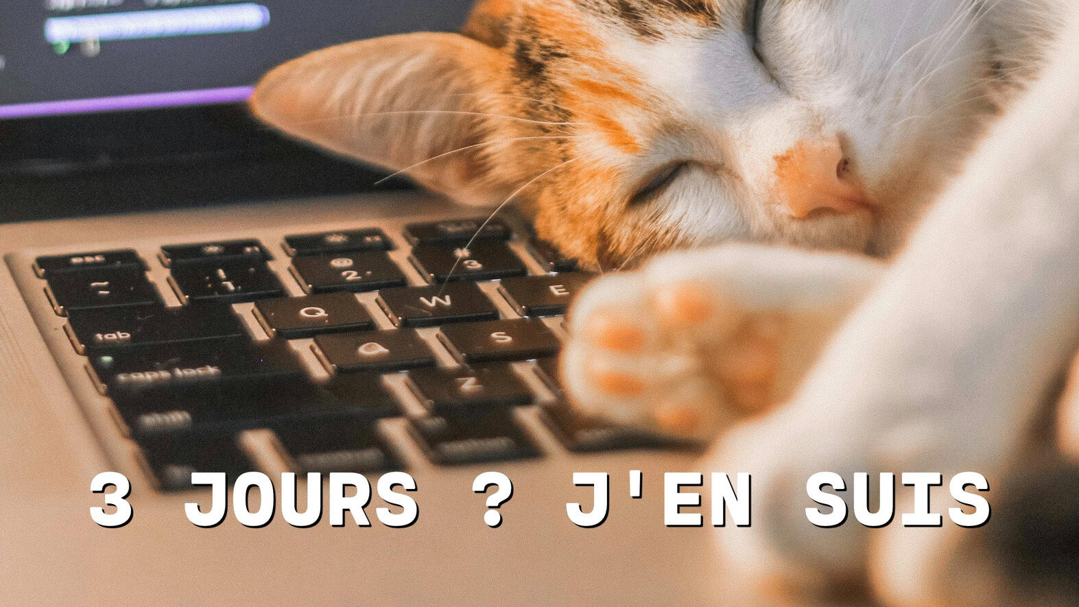 Semaine de 3 jours • 3 jours ? j'en suis